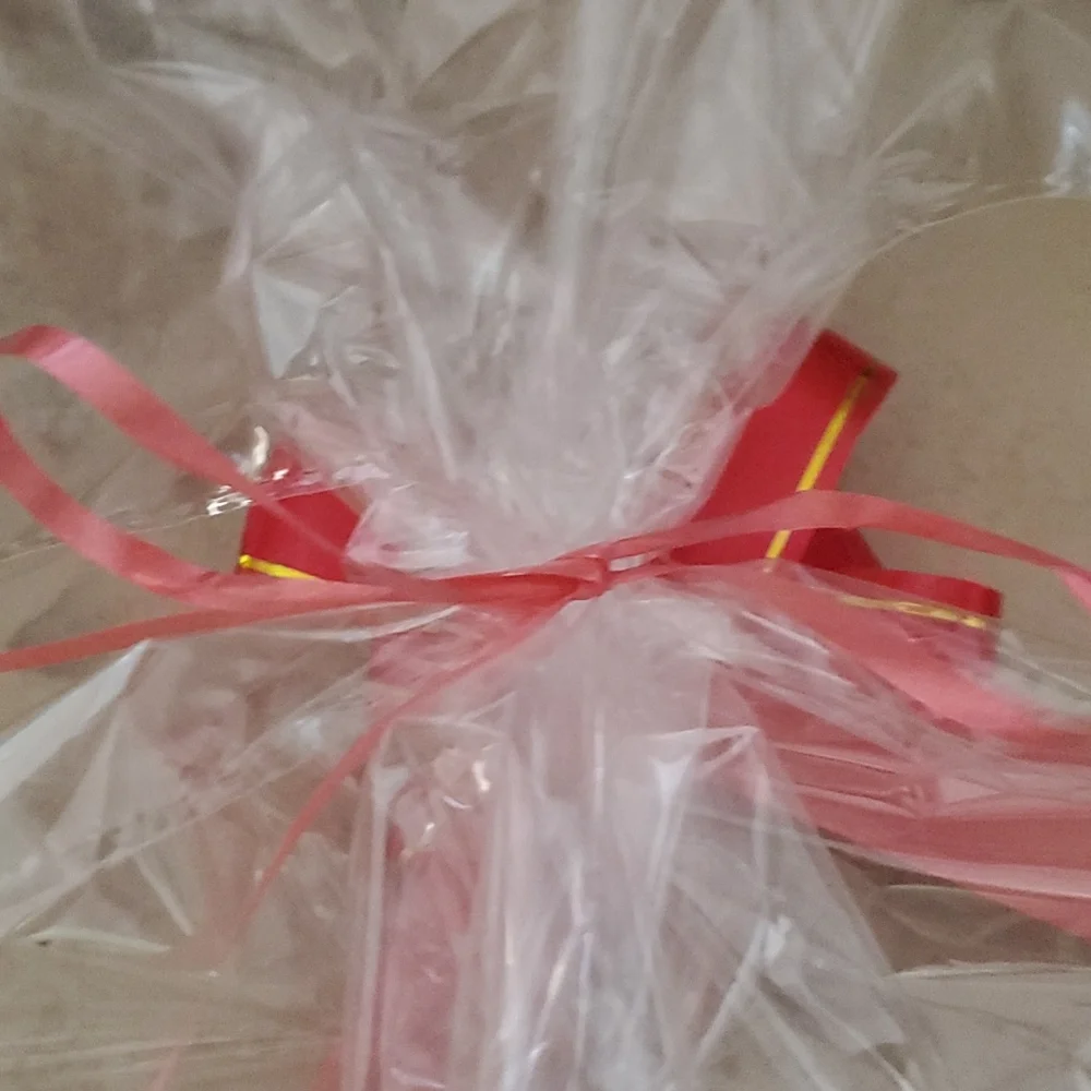 Clear Gift/Storage Bag with Red Ribbon nwot